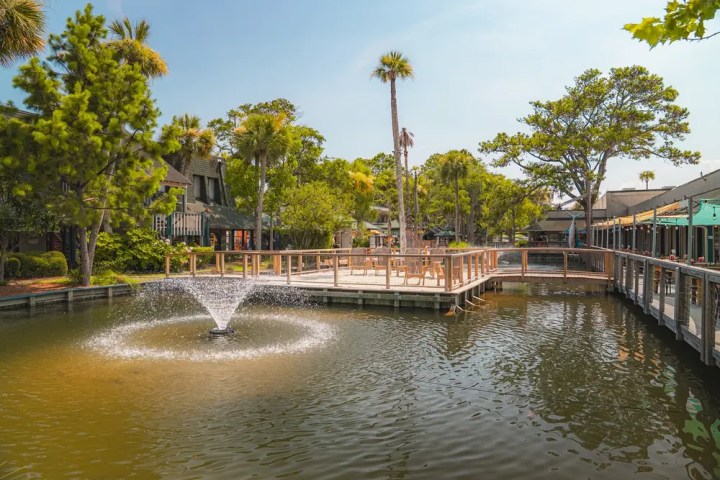 Peaceful pond with a fountain, surrounded by trees and wooden boardwalk.